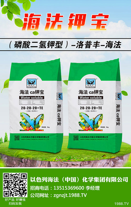 �������ö�������޼�����䶬���޼��ĕr�g��������