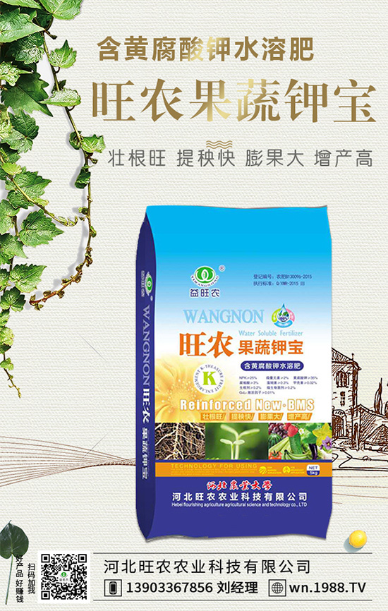 ���������L(zh��ng)��(x��)������Щ���������B(y��ng)�o(h��)Ҫ�c(di��n)��