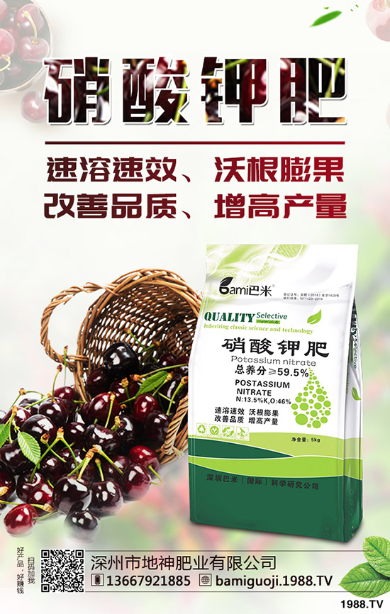 �t������r(sh��)�g��ʲô�r(sh��)�����t�����緽������Щ��