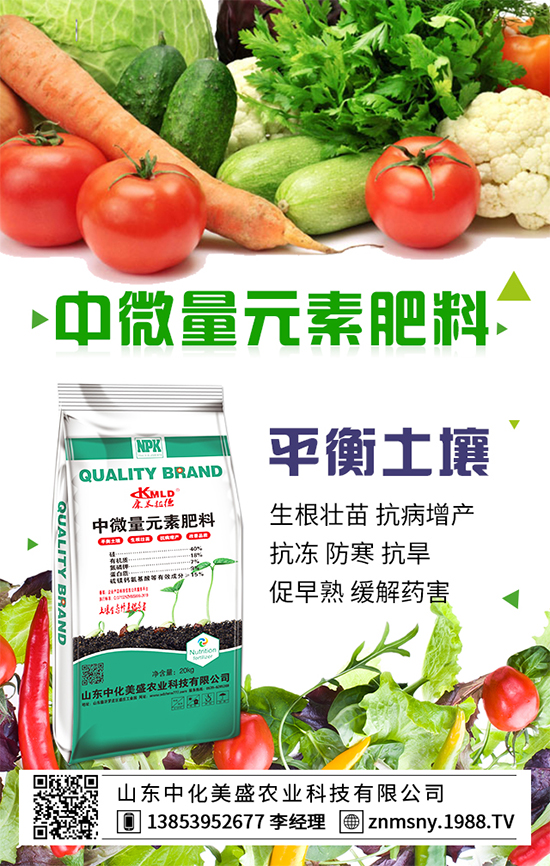 �ⶹ�ĠI(y��ng)�B(y��ng)�ɷ����ⶹ��ʳ�ý��ɣ�