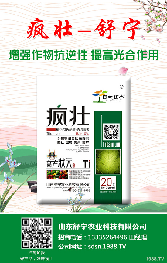 �Nֲ�㹽��ҪͶ��������㹽�Nֲ�ɱ���������