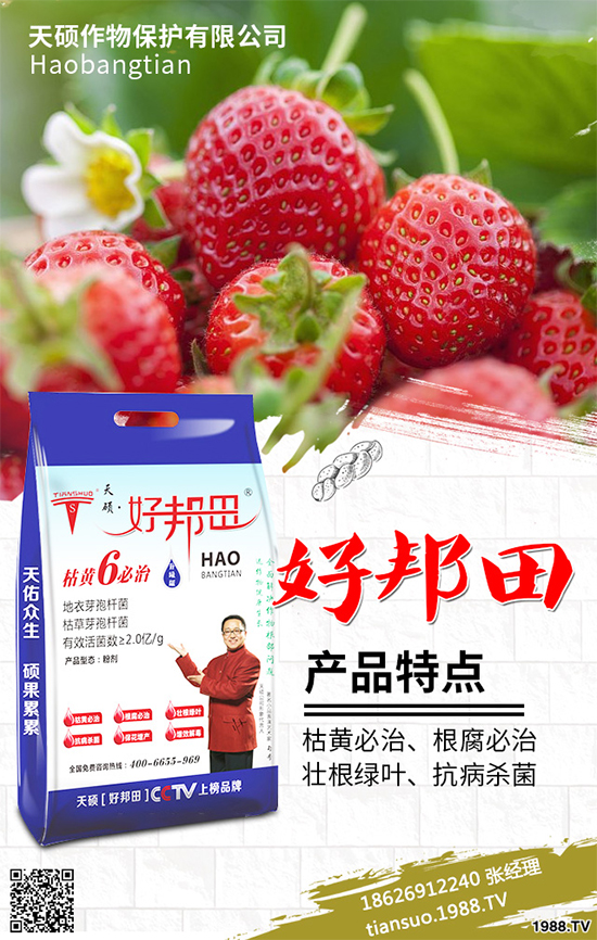 �����Ϲ�ԓ��ηNֲ�������Ϲϴ���Nֲ���g(sh��)