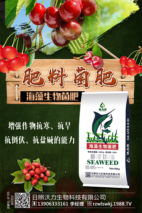 芒果種植需要哪些條件？芒果種子剝殼催芽技術(shù)！