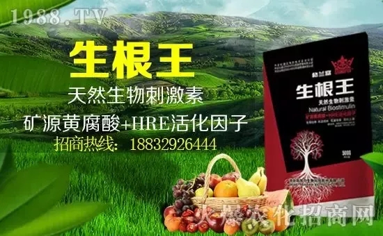 С���q�r(ji��)����(g��)�e��(b��o)�r(ji��)���^(gu��)2500Ԫ/����