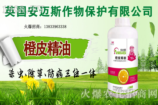 10�·Nֲ��Щ�߲˸����m�����g����Ҫ���cץ���Ď��c��