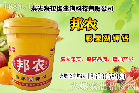 柑橘采收注意哪些事項？柑橘采收后如何進行果園管理？