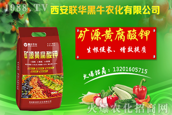 秋季果樹(shù)該如何管理？秋季果樹(shù)管理應(yīng)避免的四大誤區(qū)！