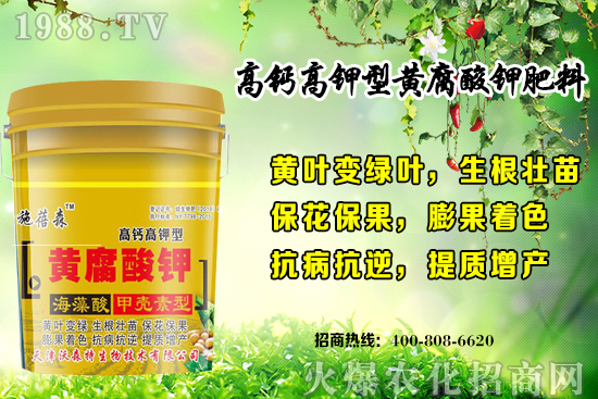 ��ݮ���L���h(hu��n)��Ҫ������Щ���＾��ݮ��ֲע����헺͹�����ʽ��