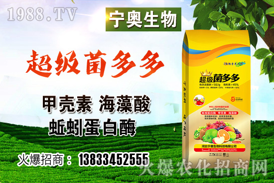 彩色花椰菜多少錢一斤？彩色花椰菜種植效益如何？怎樣種植？