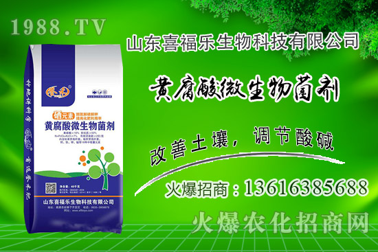 �����r(ji��)��(w��n)��ƫ��(qi��ng)��2020��10��14�ջ����r(ji��)���������