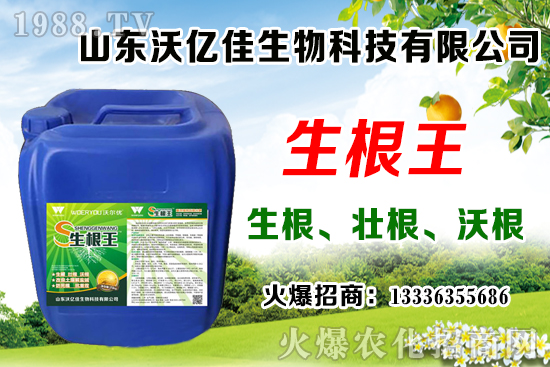 Ӱ푲�ݮ��ѿ�ֻ���������Щ����ݮ��ѿ�ֻ����c��ֲ����Ҫ�c(di��n)��