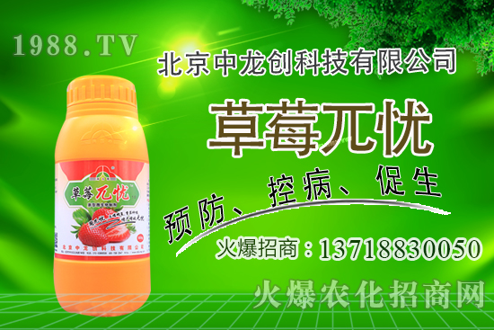 �������m�ϷNֲʲô��ˎ�ģ����@�����׷N��Щ��ˎ����