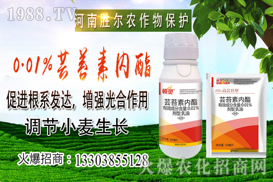 С���r(ji��)���ϝq��(ji��)����u�d�������п��ڣ�10��22��С���r(ji��)������