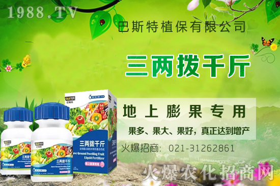 Ӱ�ţϥ��ϵ�����L��������Щ��ţϥ����������ʲô�~�����