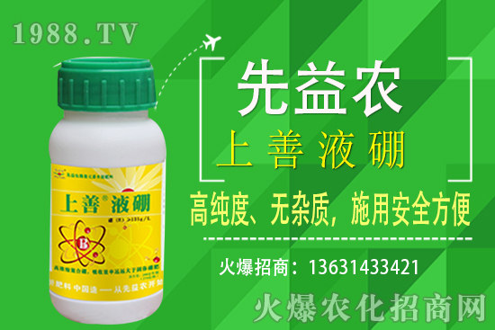 枇杷種植條件有哪些？枇杷種植要怎么施肥？