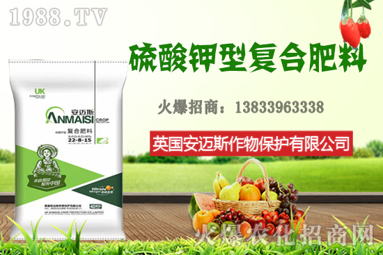 今日花生價(jià)格多少錢一斤？10月24日花生價(jià)格行情