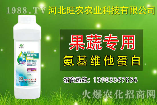 枇杷種植為什么會(huì)裂果呢？預(yù)防枇杷裂果措施有哪些？