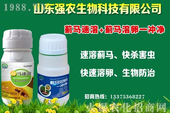 �ﶬ11�·Nֲʲô�߲˱��^���m���߲˷Nֲע�������