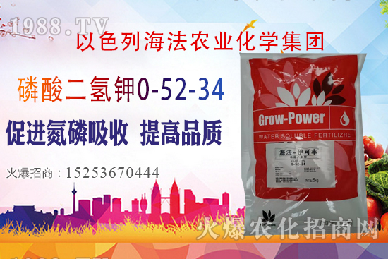 2020��10��28�����؃r(ji��)��(w��n)�����������؃r(ji��)�����(b��o)��