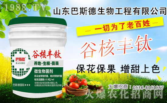 ���䶬���޼�ʲô�r����ѣ������޼���������Щ��