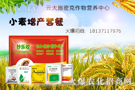 С�����N�󲻳��磿��ʲôԭ����ɵ���