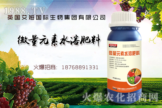 鐵、鋅、硼缺失癥狀，怎么補(bǔ)充作物所需元素？