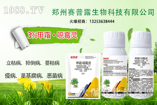 為什么霜霉病、猝倒病易發(fā)？難防治？