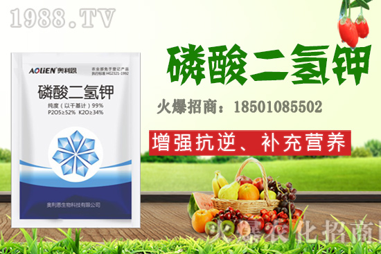 吡唑醚菌酯+蕓苔素＋磷酸二氫鉀，有什么作用？