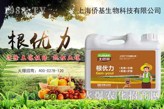 ����������ʲô�ʣ��������x������Щ��