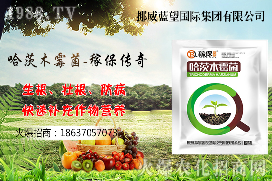 收獲后的小麥如何儲(chǔ)存呢？小麥儲(chǔ)藏關(guān)鍵點(diǎn)管理！