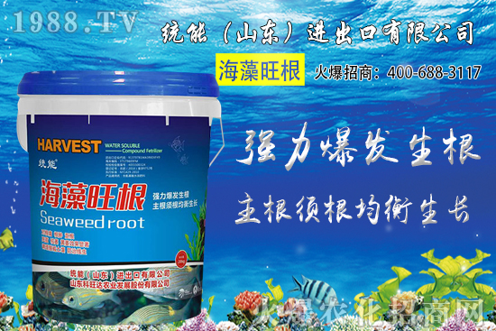 С���Nֲ�r(sh��)�g��δ_����2020��С���Nֲע����Щ��(w��n)�}��