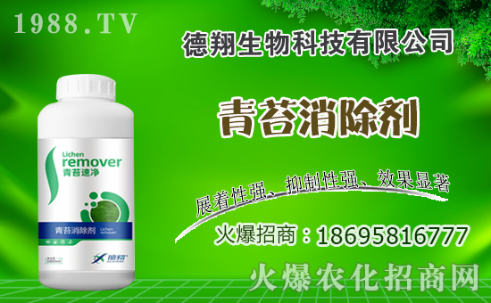 油菜什么時間種植，油菜種植方法是什么？有哪些注意事項？