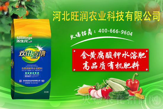 ���@����Ĥ��ô�Ч���������@䁷���Ĥ��Ҫ�c��