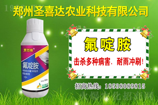 �������N��������Щ���������Ժ�ʲô�����׷N��