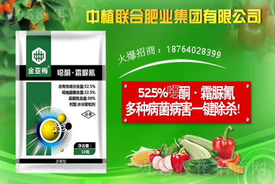 11��19�Շ���(n��i)���֮a(ch��n)�^(q��)�����r��