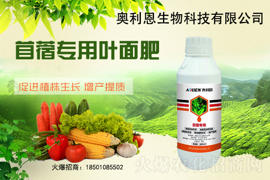 苜蓿越冬肥怎么施？苜蓿的施肥管理