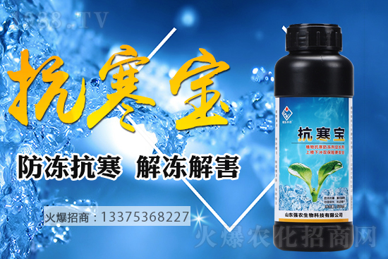 �͜�����������������С�����@���c��������ʩ����