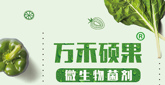 �w����-��Ч-�����r(n��ng)�I(y��)_01