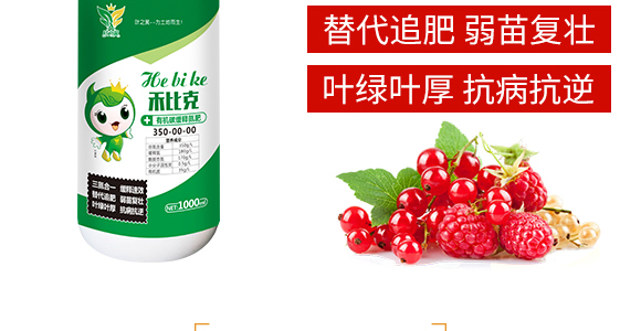 ��������-���R�S_04