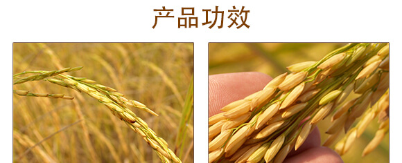 ����������a(ch��n)�ײ�-������-ِ��¶_04