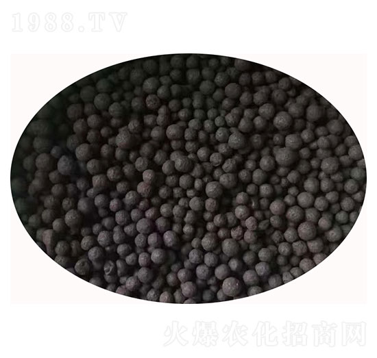 ���w���׏�(f��)��΢��������w��-������-�۝��ʘI(y��)