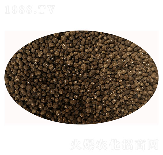 �����{(di��o)�턩�w��-Ϡ֮��-�۝�(r��n)�ʘI(y��)