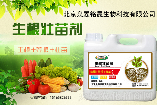 һ���y����2020-11-25�|�����ϝqѸ��