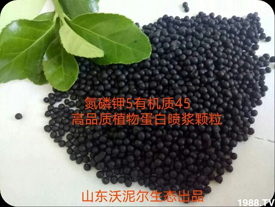 �ز�6
