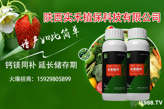 ���t�����~��ʲôԭ�����t�����~���δ�ʩ����Щ��