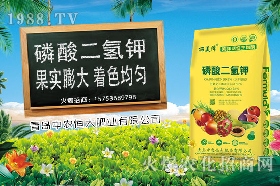 ����С���r���ϝq�������Ƿ�����m(x��)�ϝq��