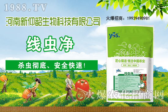 11月6日國內(nèi)小麥價(jià)格大多穩(wěn)，局部小幅波動(dòng)！