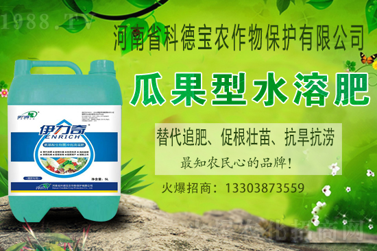 �����M��Ě��ʲô�r�����������������x�M��Ě����