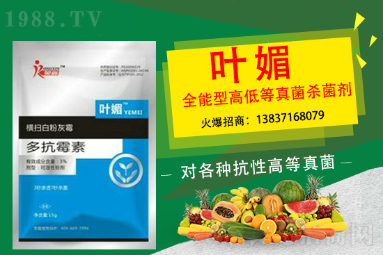 ����������(y��n)��̫�y�p������p�ɽ�Q��