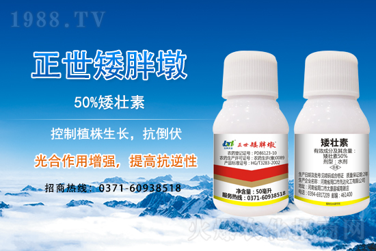 С����ǰ���L��ʲôΣ������ȡʲô��ʩ����Ч��ͽ�L��